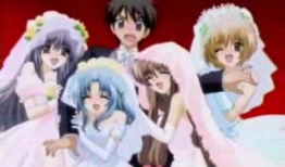 后宫动画短视频,宫廷权谋与爱恨情仇的视觉盛宴